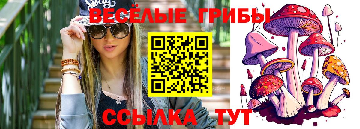 Псилоцибиновые грибы GOLDEN TEACHER Тихвин