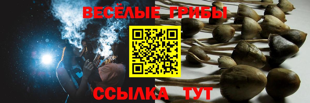 Галлюциногенные грибы MAGIC MUSHROOMS  Галлюциногенные грибы GOLDEN TEACHER  Вход с VPN  Тихвин 
